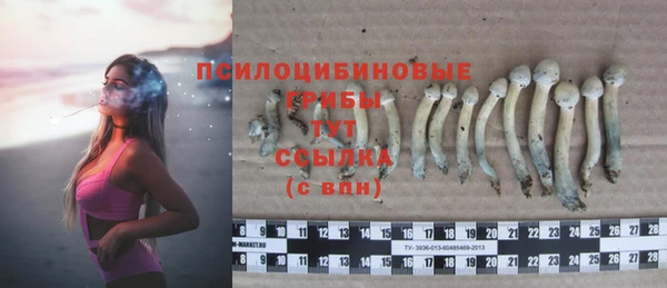 бошки Балахна
