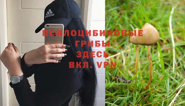 метадон Алексин