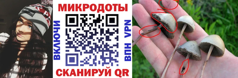 Псилоцибиновые грибы Psilocybine cubensis  Купить где  Тихорецк 